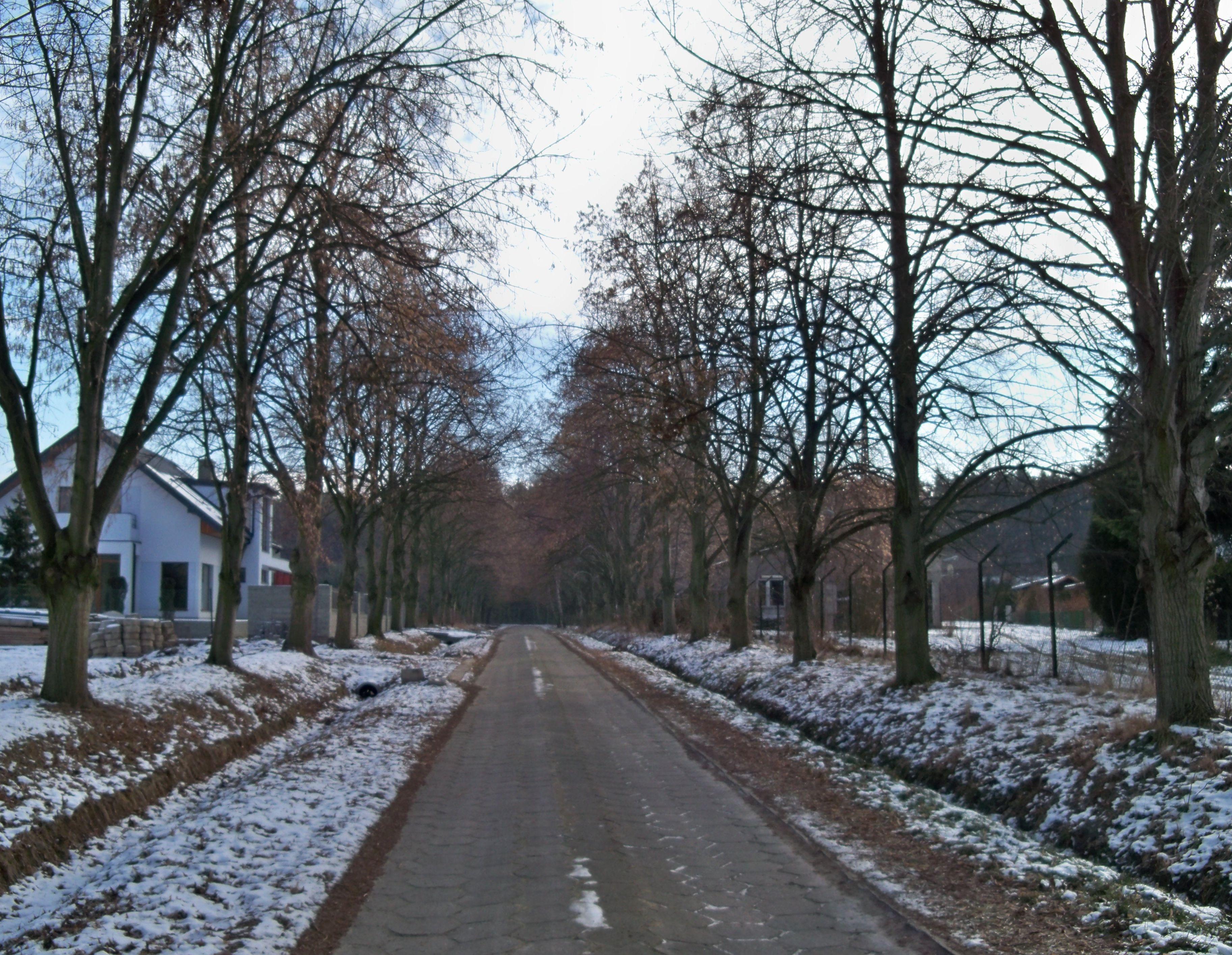Żabieniec