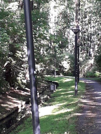 Park Olszyna