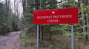 Ciszek